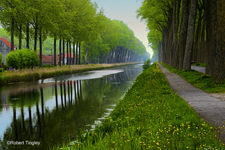 Belgium #167